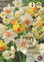 Нарцисс микс 10/12(20шт)