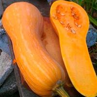 Тыква мускатная Арабатская 10шт