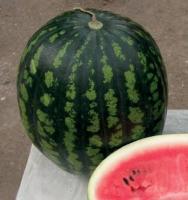 Арбуз Астраханский 500г