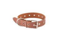 Ошейник кожа 35мм ЧИП натурал кожа простроч.до 71см коричневый/51038кор/Дарэлл