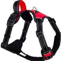 Шлейка нейлон L SPORT с ручкой красная обхв.груди 55-65см/01205565-02/Каскад