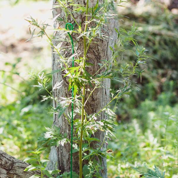 Колышек проволочный 50см комплект 10шт 