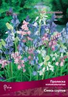 Пролеска колокольчатая Смесь окрасок