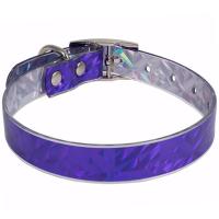 Ошейник синтетик 20мм Синий 30-40см/51320018/Каскад