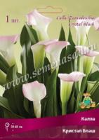 Калла Кристал Блаш 14/16 