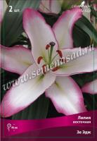 Лилия Восточная Зе Эдж (14/16) 2 шт 