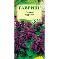 Сальвия Сириус карликовая 4 шт