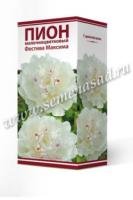 Пион молочноцветковый Фестива Максима (1шт,2-3) 