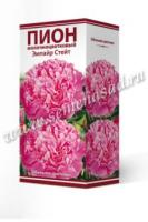 Пион молочноцветковый Эмпайр Стейт (1шт,2-3) 