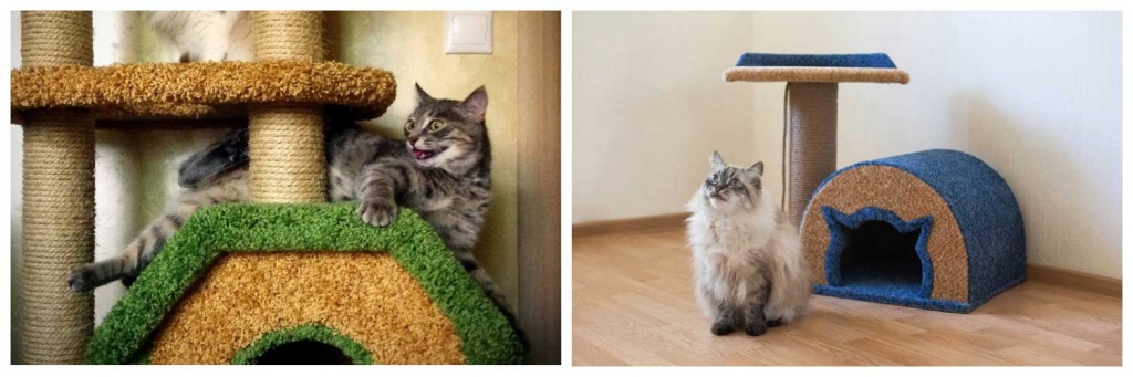 когтеточки).jpg когтеточки).jpg