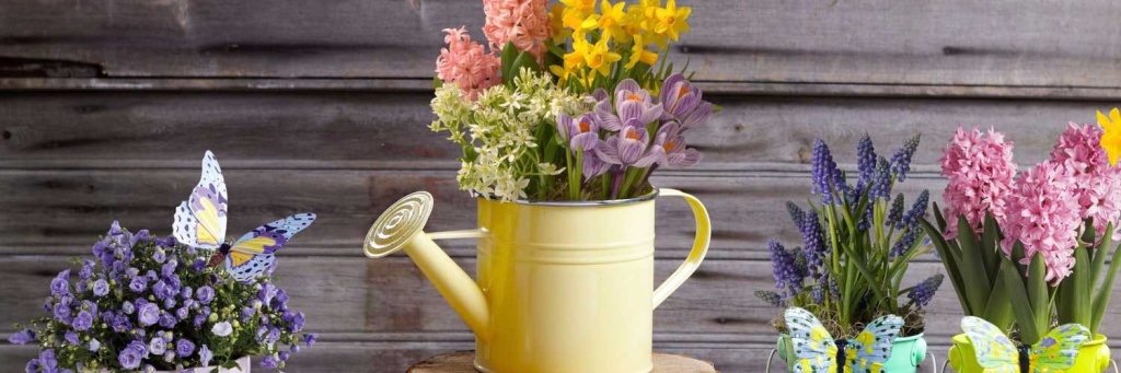 1500x50010.jpg 1500x50010.jpg