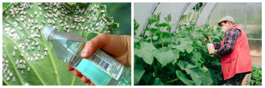 борьба.jpg борьба.jpg