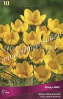 Крокус Голдилокс