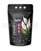 ориг спатифиллума эксперт 3л ориг спатифиллума эксперт 3л