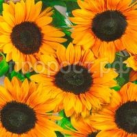 a0b4434f_11ef_11ea_9ac1_d485645420e6_b4cbc4fc_1f2e_11ea_87ab_d485645420e6 a0b4434f_11ef_11ea_9ac1_d485645420e6_b4cbc4fc_1f2e_11ea_87ab_d485645420e6