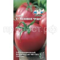 роз чудо роз чудо