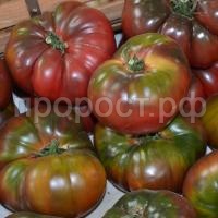 full_tomat-thernyi-krym-1