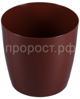 крокус кор кр