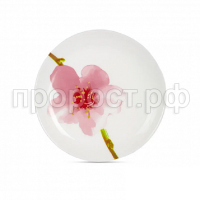 6b9c7cac660d912ae8c54b5722f222a8 6b9c7cac660d912ae8c54b5722f222a8