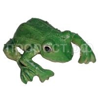 цеплялка лягушка