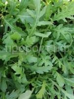 Без названия (2) Без названия (2)