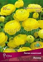 lutik_asia_yellow_kaper lutik_asia_yellow_kaper