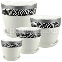 704309роспись180