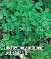 Петрушка Богатырь 100г