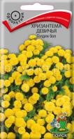 Хризантема девичья Голден бол