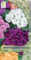 Примула махровая Розелла Микс 5шт Примула махровая Розелла Микс 5шт