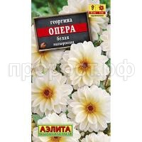 Георгина Опера белая_0