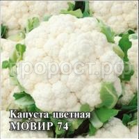 Капуста цветная Мовир 74 10 г