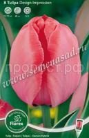 Тюльпан Дарвинов гибрид Дизайн Импрешн (розовый с оранжевым пламенем, 10шт, 11-12) 310005 Тюльпан Дарвинов гибрид Дизайн Импрешн (розовый с оранжевым пламенем, 10шт, 11-12) 310005