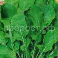 Без названия (4) Без названия (4)