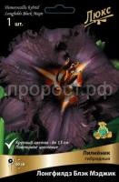 Лилейник гибридный Лонгфилдз Блэк Мэджик_черный