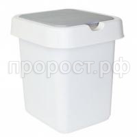 4242 бел 4242 бел