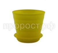 лаура с под (8)