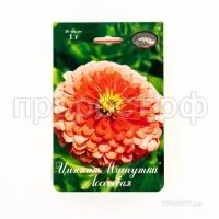 Цинния Мишутка лососевая 201 Каприс