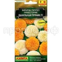 Без названия (12)