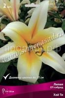 Лилия ОТ-Гибрид Хай Ти (14-16) 2шт 736202 Лилия ОТ-Гибрид Хай Ти (14-16) 2шт 736202