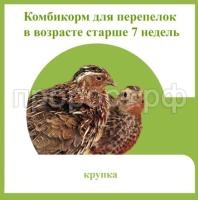 перепелок старше 7 нед