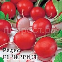 Редис Черриэт F1 1000шт Редис Черриэт F1 1000шт