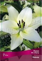 НоменклатураПрисоединенныеФайлы НоменклатураПрисоединенныеФайлы