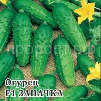 Огурец Заначка F1 100 шт