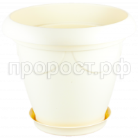 верона 13 пес