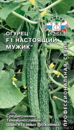 Огурец Настоящий мужик F1 0,2г