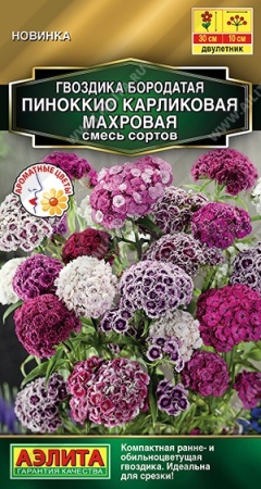 Гвоздика Пиноккио карликовая махровая, смесь окрасок  0,1г
