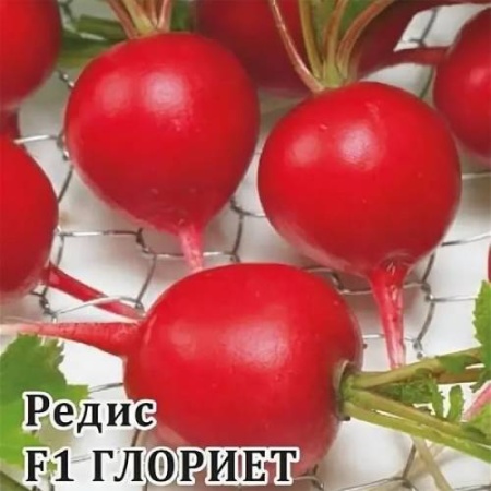 Редис Глориет F1 1000 шт