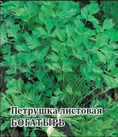 Гавриш Фермерская Петрушка Богатырь 25гр