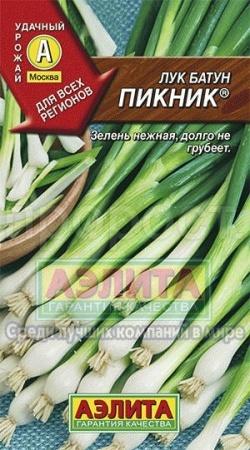 Лук батун Пикник 0,5г 